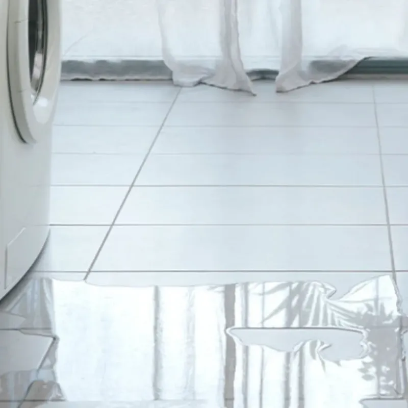Appliance Leak Cleanup in Fruitland, NC