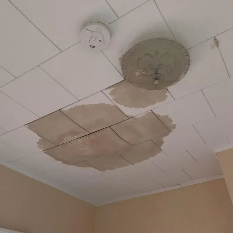 Ceiling Water Damage Repair in Fruitland, NC