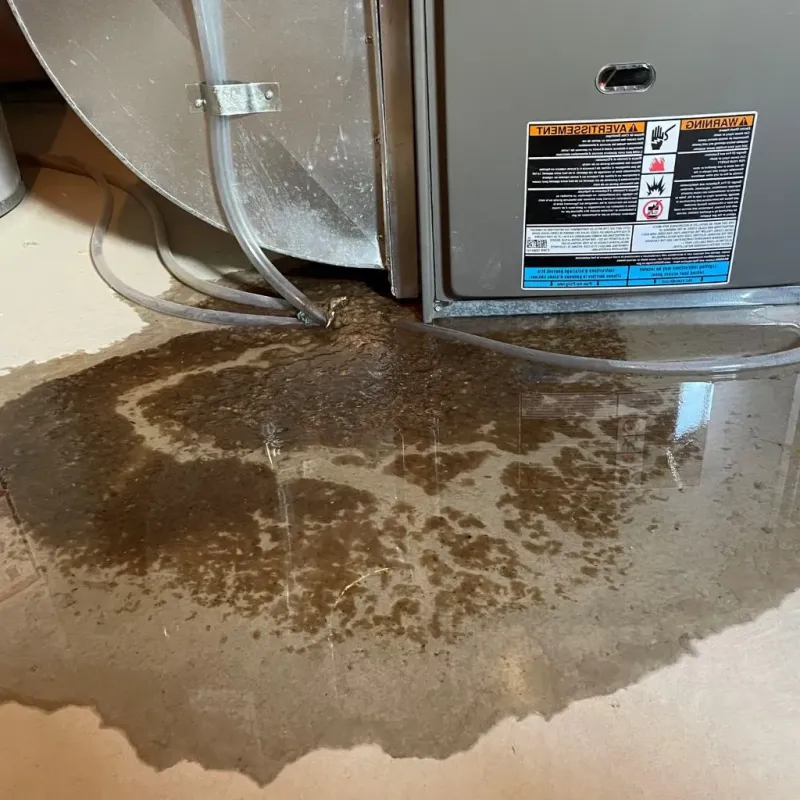 Pipe Burst and Leak Restoration in Fruitland, NC
