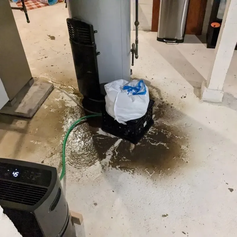 Sewage Backup Cleanup Service in Fruitland, NC